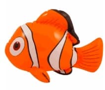 Product - Clownfish